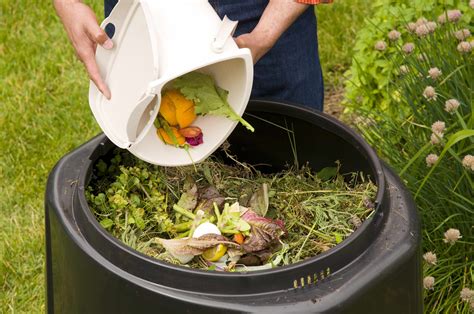Garden with compost. Things To Know About Garden with compost. 